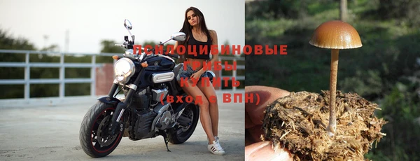 эйфоретик Заволжье