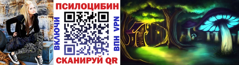 Псилоцибиновые грибы Magic Shrooms  Николаевск 
